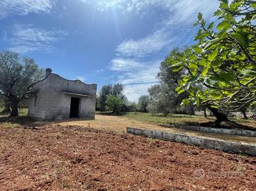 RUSTICO A CEGLIE MESSAPICA