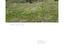Immagine 13