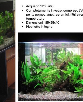 acquario