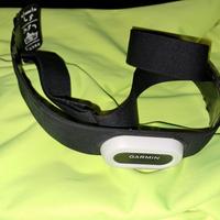 garmin pro plus fascia