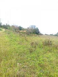 Terreno - Caltagirone