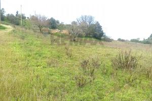 Terreno - Caltagirone