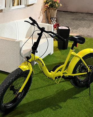 Fat bike pieghevole