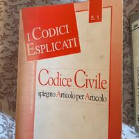 Codice civile e libro per vigile urbano