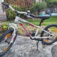 Bicicletta bambino 20 pollici