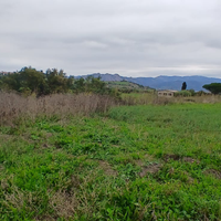 Terreno Agricolo Irrigabile