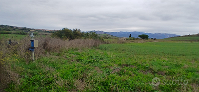 Terreno Agricolo Irrigabile