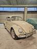 volkswagen-maggiolino-volkswagen-maggiolino-6-v