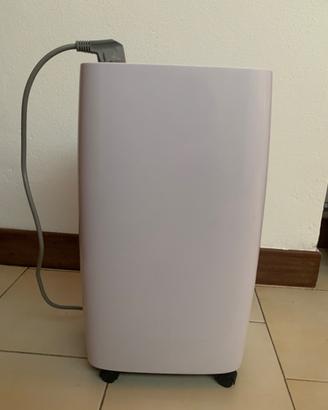 Deumidificatore Anti-Muffa, Toyotomi |TD-C1412, Ec