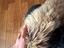 Immagine 6