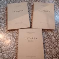 conosci l'Italia (3)