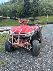 Quad 125 nitro motors