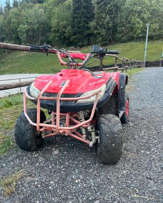 Quad 125 nitro motors