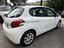 Immagine 5