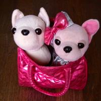 Chi Chi love Cagnolini