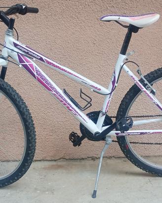 Mountain bike speed Cross