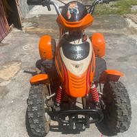 Quad cc50 piccolo 150,00