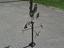 Immagine 5