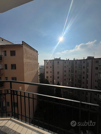 Monolcale Arenella Parco la Pineta