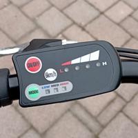 bicicletta elettrica 