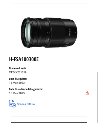 obiettivo Panasonic 100-300 II