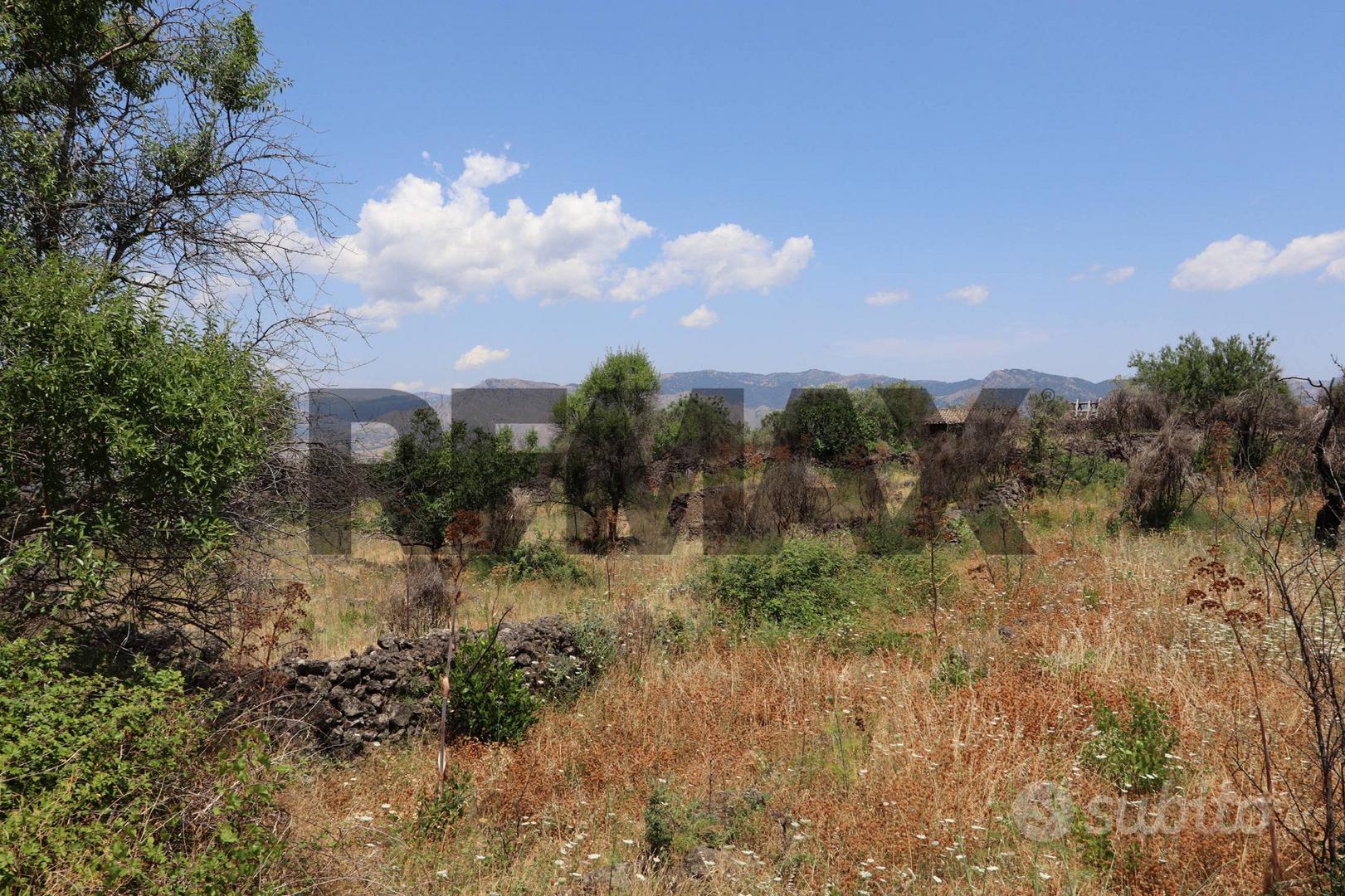 Terreno - Castiglione di Sicilia - Vista 3