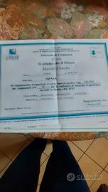 Saldatore polietilene pe.2.3 elletrofusione