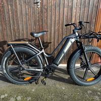 E-Bike Fiido Titan