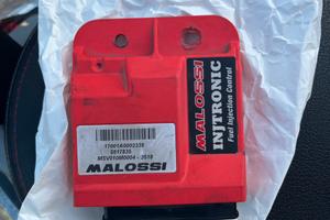 Centraliana malossi