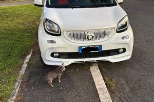 Smart Brabus Forfour