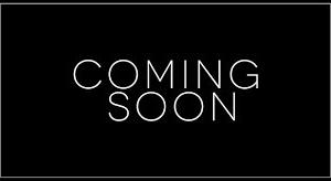 Husqvarna Svartpilen 401