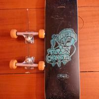 skateboard vintage Pat Channita