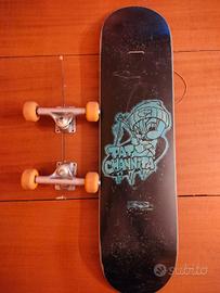 skateboard vintage Pat Channita