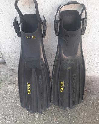 pinne ara