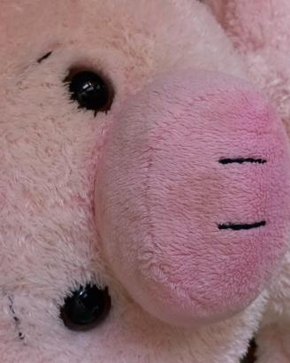 maiale peluche 