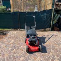 RASAERBA CASTELGARDEN CS 434