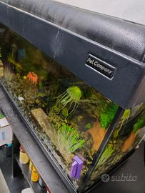 acquario pet Company 80 litri
