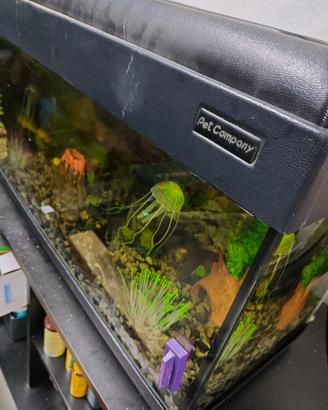 acquario pet Company 80 litri