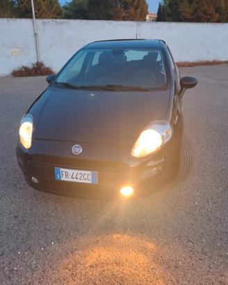 Fiat Punto 1.3 MJT II S&S 95 CV 5 porte Street(12 