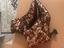Immagine 5