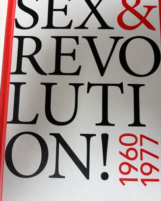 Sex & Revolution 1960 1977