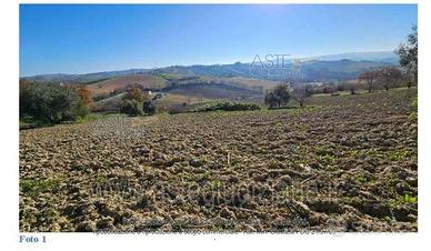 Terreno Agricolo Agugliano [A4350002]