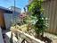 Immagine 23