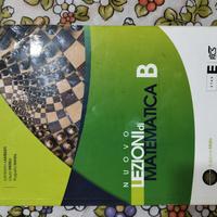 Nuovo Lezioni di Matematica B