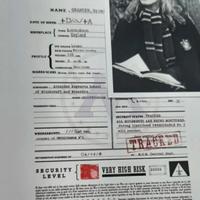 Registro babbani- Hermione Granger - Harry Potter