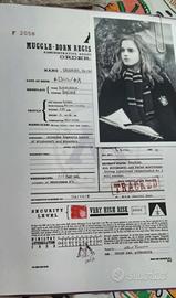 Registro babbani- Hermione Granger - Harry Potter