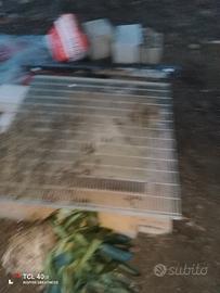 Griglia in acciaio zincato 