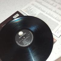 G.N.R.- Appetite for destruction Censurato LP