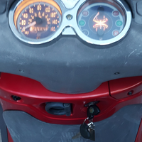 Scoter