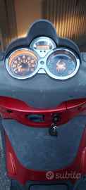 Scoter